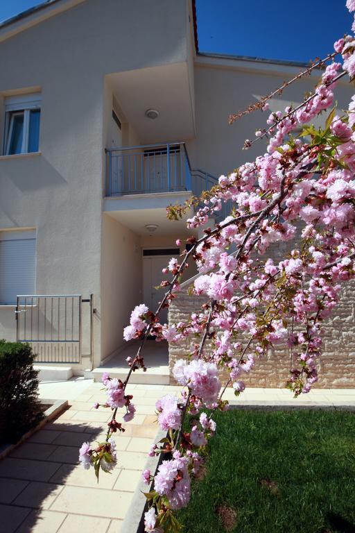 Apartments Sea View Kožino Exteriör bild
